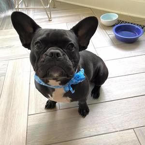 Meet your Posher, Steve